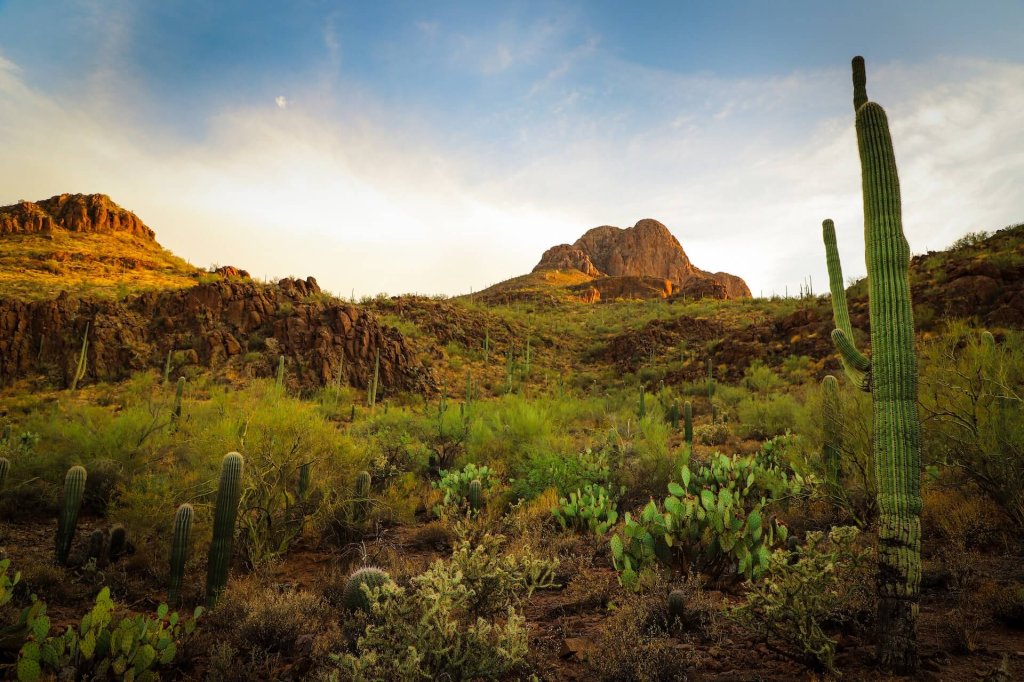 Contact us at KWSA in Tucson or Sierra Vist, the Best Tucson Real Estate Brokerage